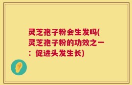 灵芝孢子粉会生发吗(灵芝孢子粉的功效之一：促进头发生长)