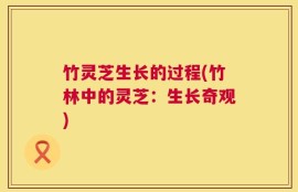 竹灵芝生长的过程(竹林中的灵芝：生长奇观)