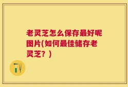 老灵芝怎么保存最好呢图片(如何最佳储存老灵芝？)
