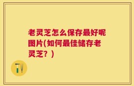 老灵芝怎么保存最好呢图片(如何最佳储存老灵芝？)