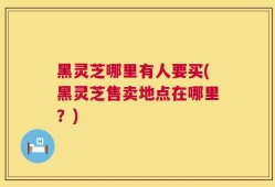 黑灵芝哪里有人要买(黑灵芝售卖地点在哪里？)