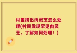 村里捞出肉灵芝怎么处理(村民发现罕见肉灵芝，了解如何处理！)