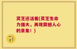 灵芝还活着(灵芝生命力强大，再现震撼人心的景象！)