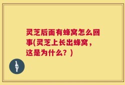 灵芝后面有蜂窝怎么回事(灵芝上长出蜂窝，这是为什么？)