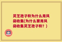 灵芝孢子粉为什么用风袋收集(为什么要用风袋收集灵芝孢子粉？)
