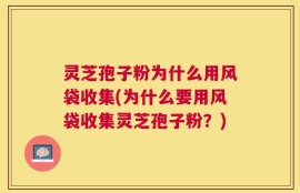 灵芝孢子粉为什么用风袋收集(为什么要用风袋收集灵芝孢子粉？)