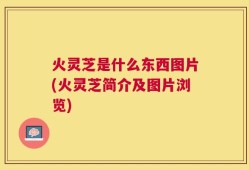 火灵芝是什么东西图片(火灵芝简介及图片浏览)