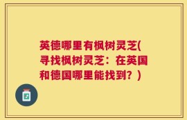 英德哪里有枫树灵芝(寻找枫树灵芝：在英国和德国哪里能找到？)