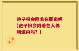 孢子粉会附着在肠道吗(孢子粉会附着在人体肠道内吗？)