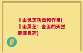 矷山灵芝功效和作用(矷山灵芝：全面的天然健康良药)