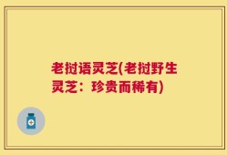 老挝语灵芝(老挝野生灵芝：珍贵而稀有)