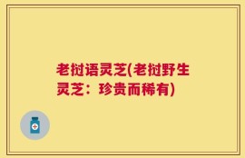 老挝语灵芝(老挝野生灵芝：珍贵而稀有)
