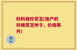 籽料独籽灵芝(独产的珍稀灵芝种子，价格飙升)