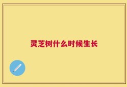 灵芝树什么时候生长