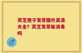 灵芝孢子发芽图片高清大全？灵芝发芽能消毒吗