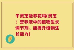 干灵芝能养花吗(灵芝：营养液中的植物生长调节剂，能提升植物生长能力)