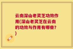 云南深山老灵芝功效作用(深山老灵芝在云南的功效与作用有哪些？)