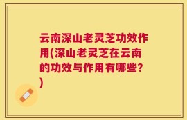 云南深山老灵芝功效作用(深山老灵芝在云南的功效与作用有哪些？)