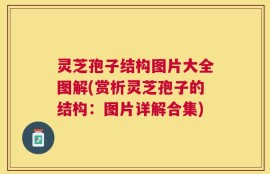 灵芝孢子结构图片大全图解(赏析灵芝孢子的结构：图片详解合集)