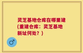灵芝基地仓库在哪里建(重建仓库：灵芝基地新址何处？)