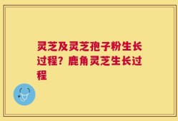 灵芝及灵芝孢子粉生长过程？鹿角灵芝生长过程