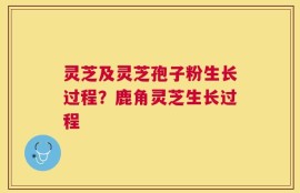 灵芝及灵芝孢子粉生长过程？鹿角灵芝生长过程