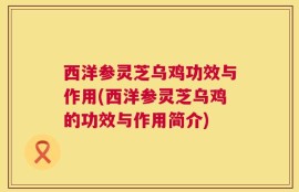 西洋参灵芝乌鸡功效与作用(西洋参灵芝乌鸡的功效与作用简介)