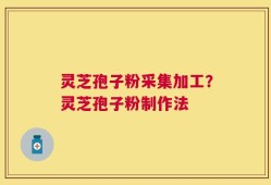 灵芝孢子粉采集加工？灵芝孢子粉制作法