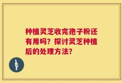 种植灵芝收完孢子粉还有用吗？探讨灵芝种植后的处理方法？