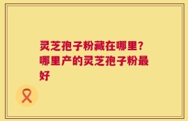 灵芝孢子粉藏在哪里？哪里产的灵芝孢子粉最好
