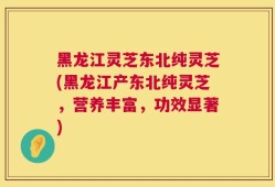 黑龙江灵芝东北纯灵芝(黑龙江产东北纯灵芝，营养丰富，功效显著)