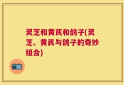 灵芝和黄芪和鸽子(灵芝、黄芪与鸽子的奇妙组合)