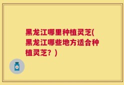 黑龙江哪里种植灵芝(黑龙江哪些地方适合种植灵芝？)