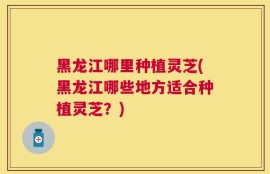 黑龙江哪里种植灵芝(黑龙江哪些地方适合种植灵芝？)