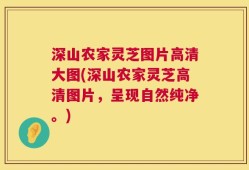 深山农家灵芝图片高清大图(深山农家灵芝高清图片，呈现自然纯净。)