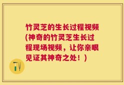 竹灵芝的生长过程视频(神奇的竹灵芝生长过程现场视频，让你亲眼见证其神奇之处！)