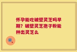 怀孕能吃破壁灵芝吗早期？破壁灵芝孢子粉能种出灵芝么