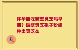 怀孕能吃破壁灵芝吗早期？破壁灵芝孢子粉能种出灵芝么