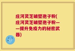 庄河灵芝破壁孢子粉(庄河灵芝破壁孢子粉——提升免疫力的秘密武器)