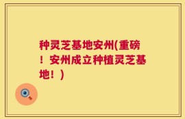 种灵芝基地安州(重磅！安州成立种植灵芝基地！)