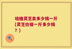 培植灵芝卖多少钱一斤(灵芝价格一斤多少钱？)