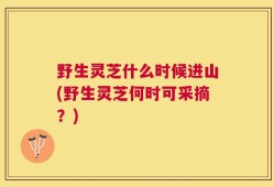 野生灵芝什么时候进山(野生灵芝何时可采摘？)