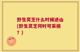 野生灵芝什么时候进山(野生灵芝何时可采摘？)