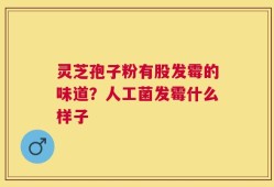 灵芝孢子粉有股发霉的味道？人工菌发霉什么样子
