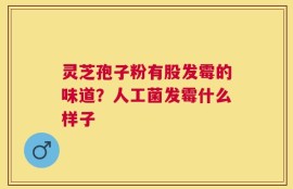 灵芝孢子粉有股发霉的味道？人工菌发霉什么样子