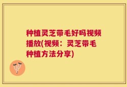 种植灵芝带毛好吗视频播放(视频：灵芝带毛种植方法分享)