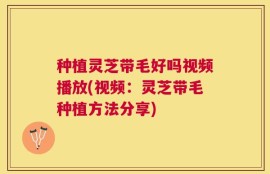 种植灵芝带毛好吗视频播放(视频：灵芝带毛种植方法分享)