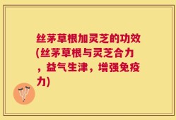 丝茅草根加灵芝的功效(丝茅草根与灵芝合力，益气生津，增强免疫力)