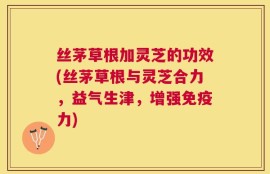 丝茅草根加灵芝的功效(丝茅草根与灵芝合力，益气生津，增强免疫力)