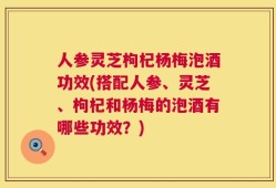 人参灵芝枸杞杨梅泡酒功效(搭配人参、灵芝、枸杞和杨梅的泡酒有哪些功效？)